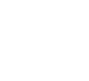 沙希德贝赫什迪医科大学 logo